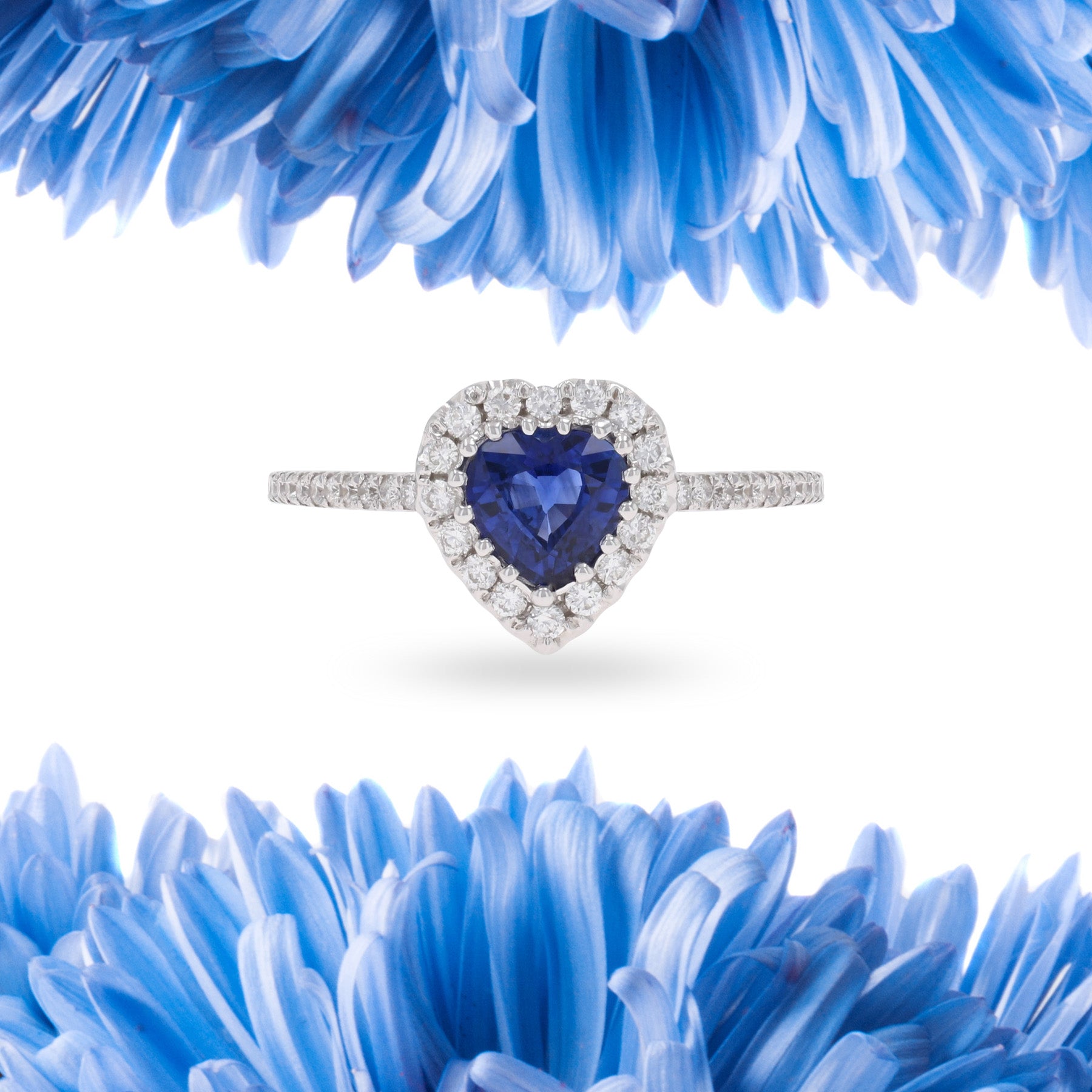 18ct White Gold Heart Shaped Sapphire & Diamond Halo Ring