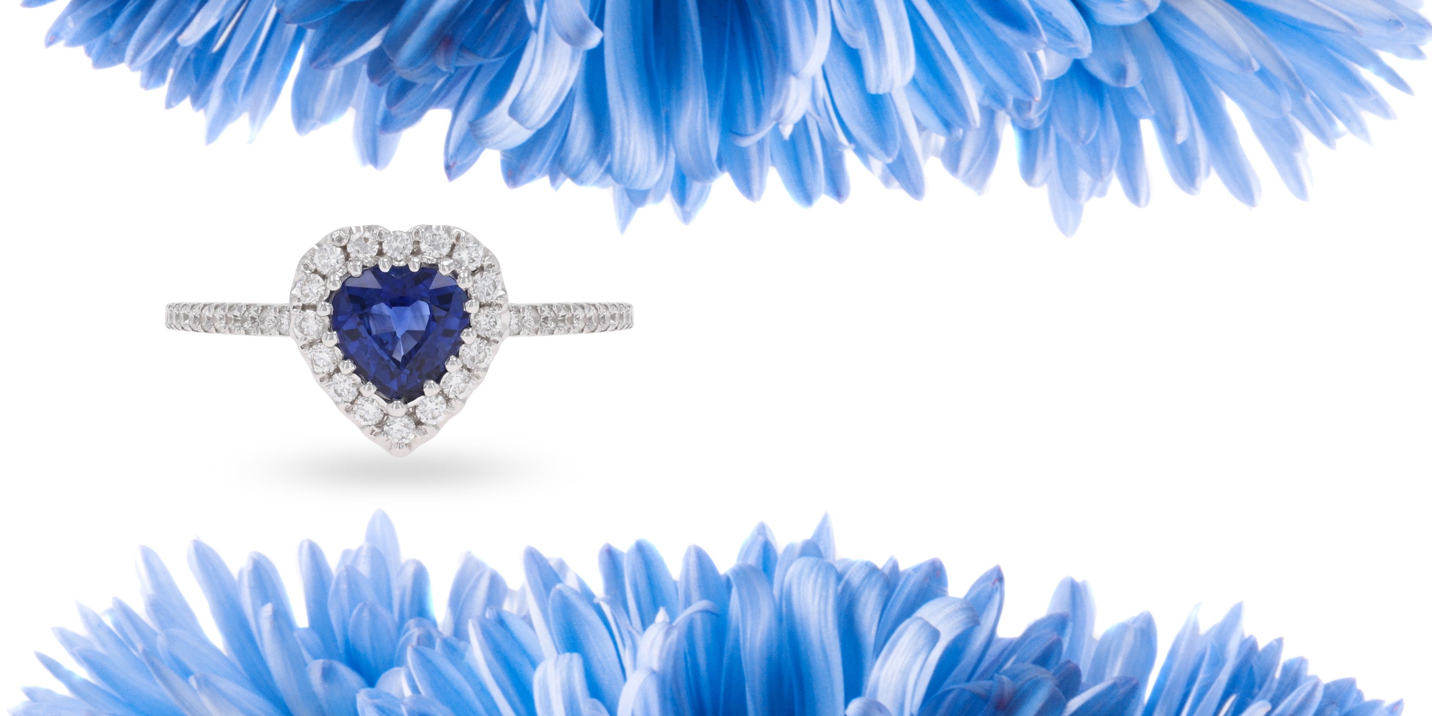 18ct White Gold Heart Shaped Sapphire & Diamond Halo Ring