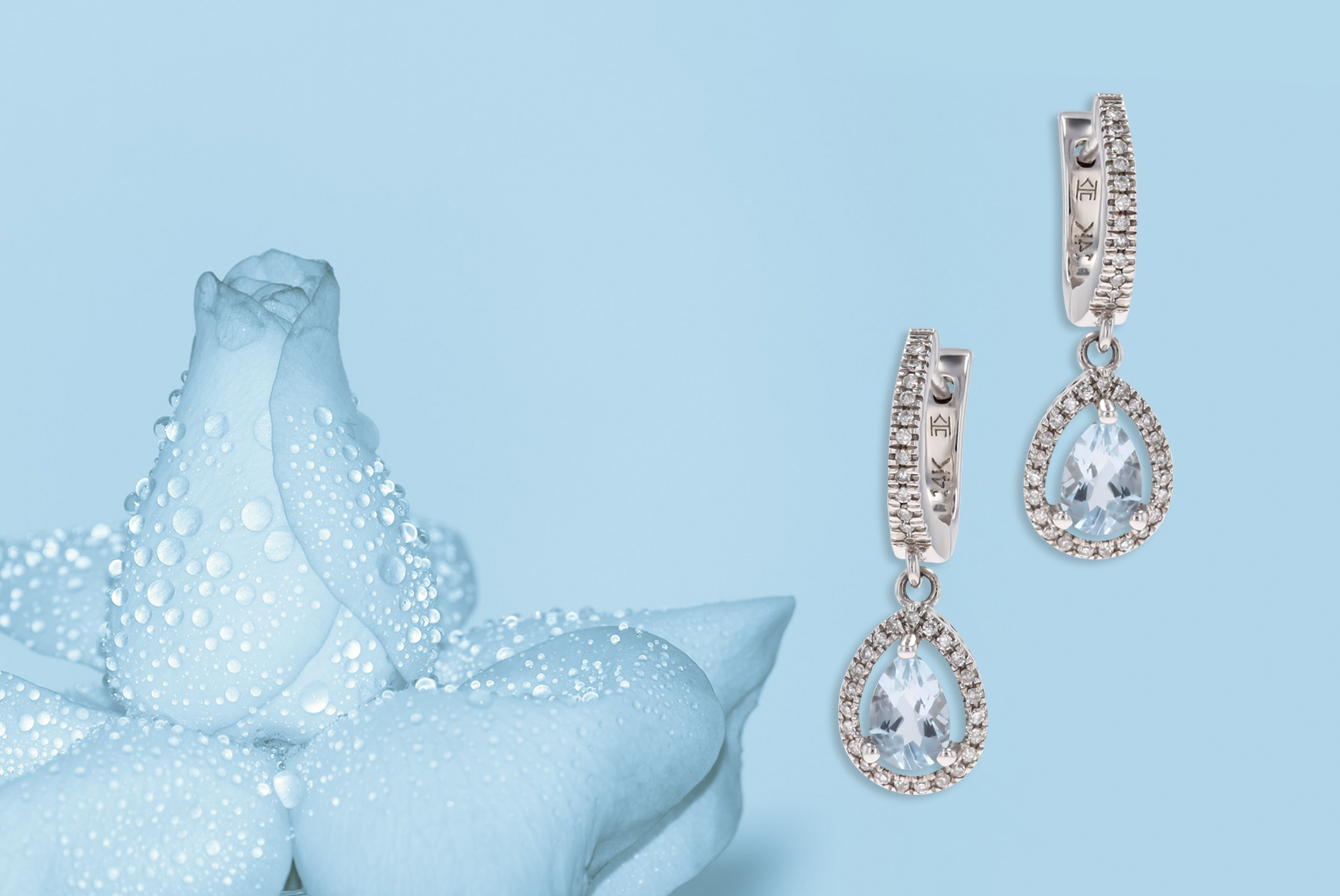 14ct White Gold Pear Shaped Aquamarine & Diamond Halo Drop Earrings