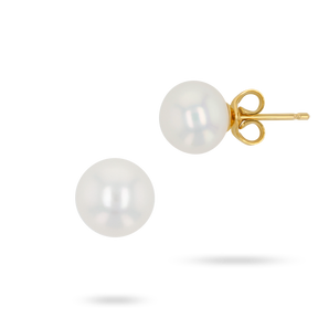 9ct Yellow Gold Freshwater Pearl Stud Earrings