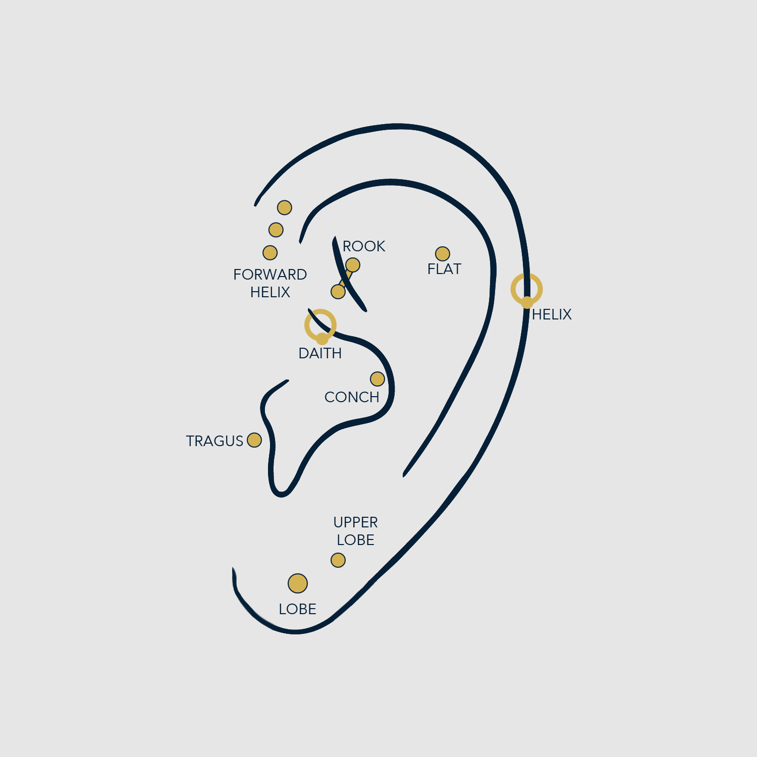 Ear Piercings Guide