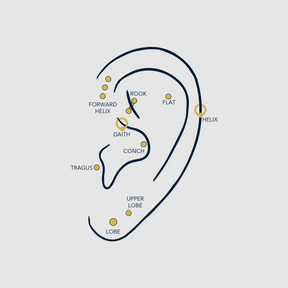 Ear Piercings Guide
