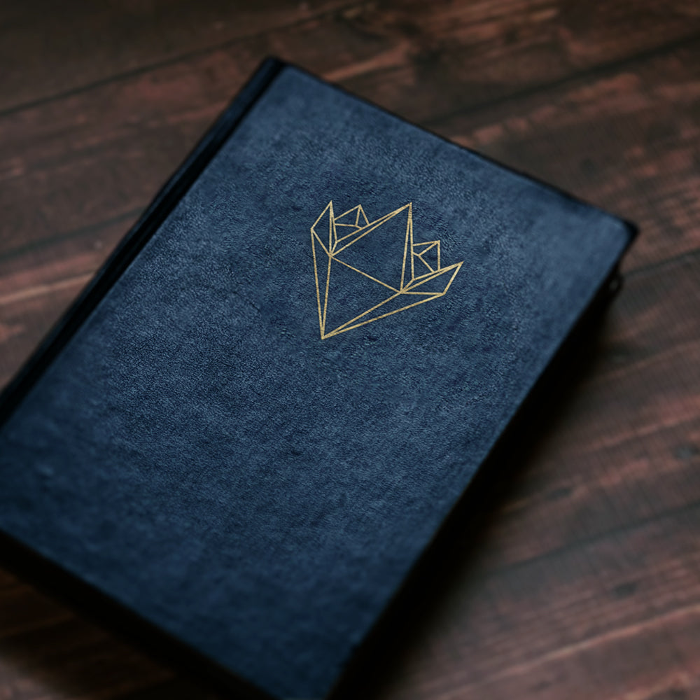Lewins Journal Book with Lewins Logo.
