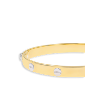 9ct Two Colour Gold 7mm Solid Screw Bangle