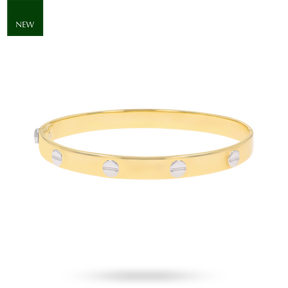 9ct Two Colour Gold 7mm Solid Screw Bangle