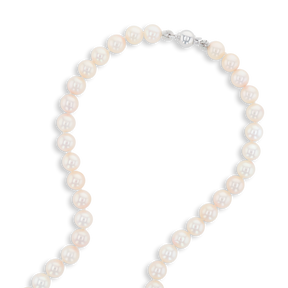 6.5-7mm Cultured Akoya Pearl 17.5” Necklace With 9ct White Gold Clasp