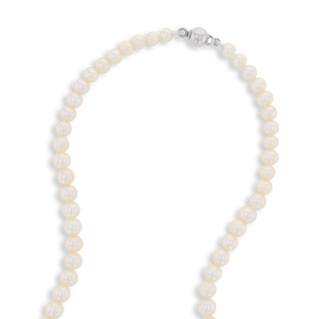 Graduated Cream Cultured Freshwater Pearl 16.5” Necklace With 9ct White Gold Clasp