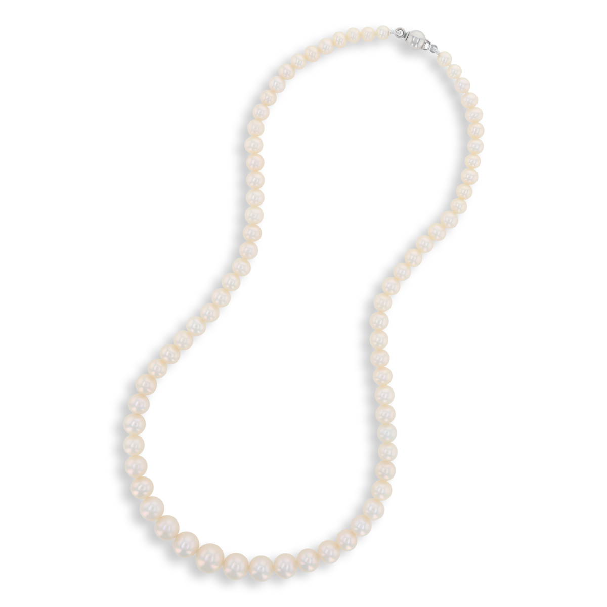 Graduated Cream Cultured Freshwater Pearl 16.5” Necklace With 9ct White Gold Clasp