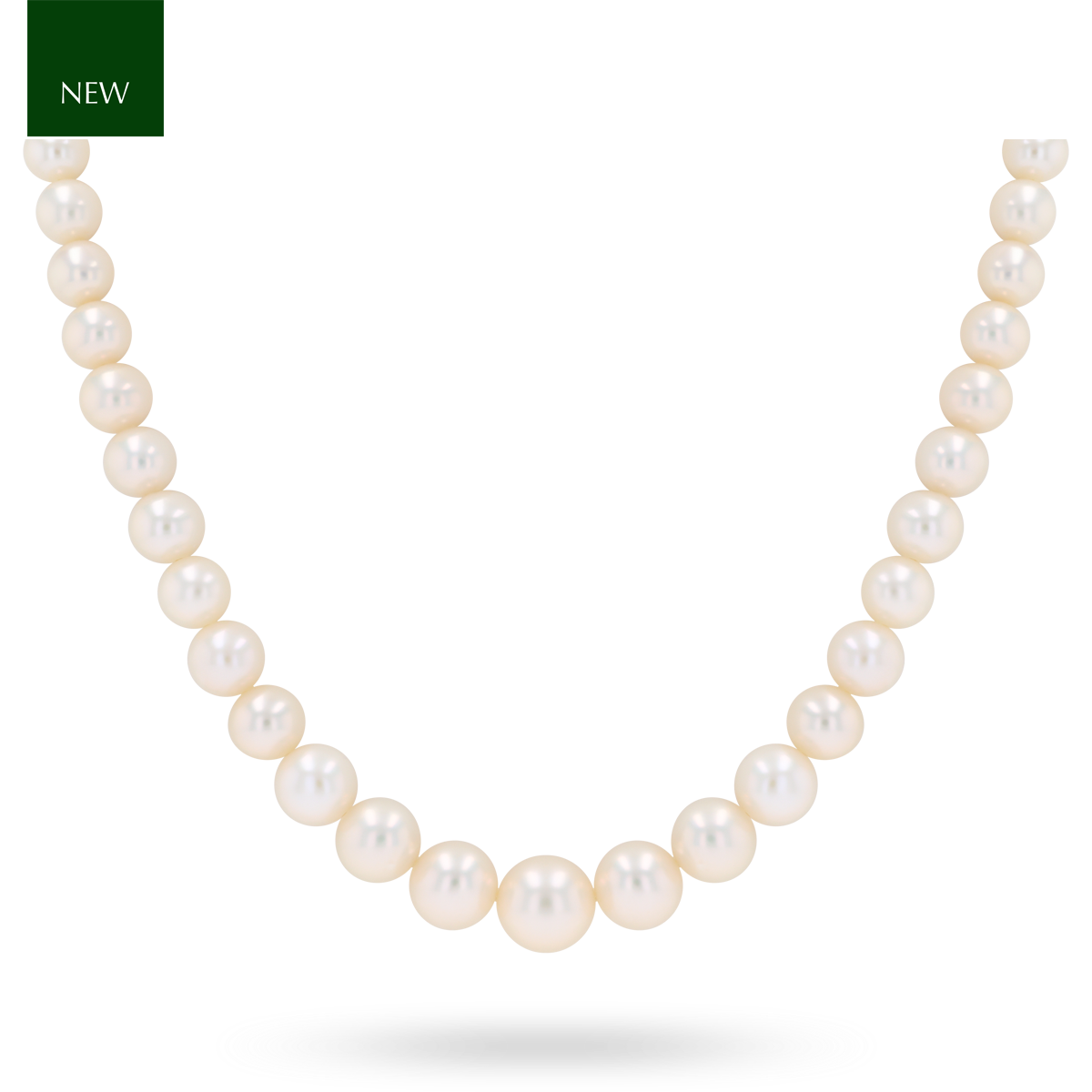 Graduated Cream Cultured Freshwater Pearl 16.5” Necklace With 9ct White Gold Clasp