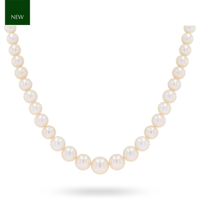 Graduated Cream Cultured Freshwater Pearl 16.5” Necklace With 9ct White Gold Clasp