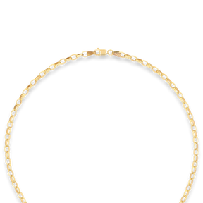 9ct Yellow Gold Oval Belcher T-Bar Necklace