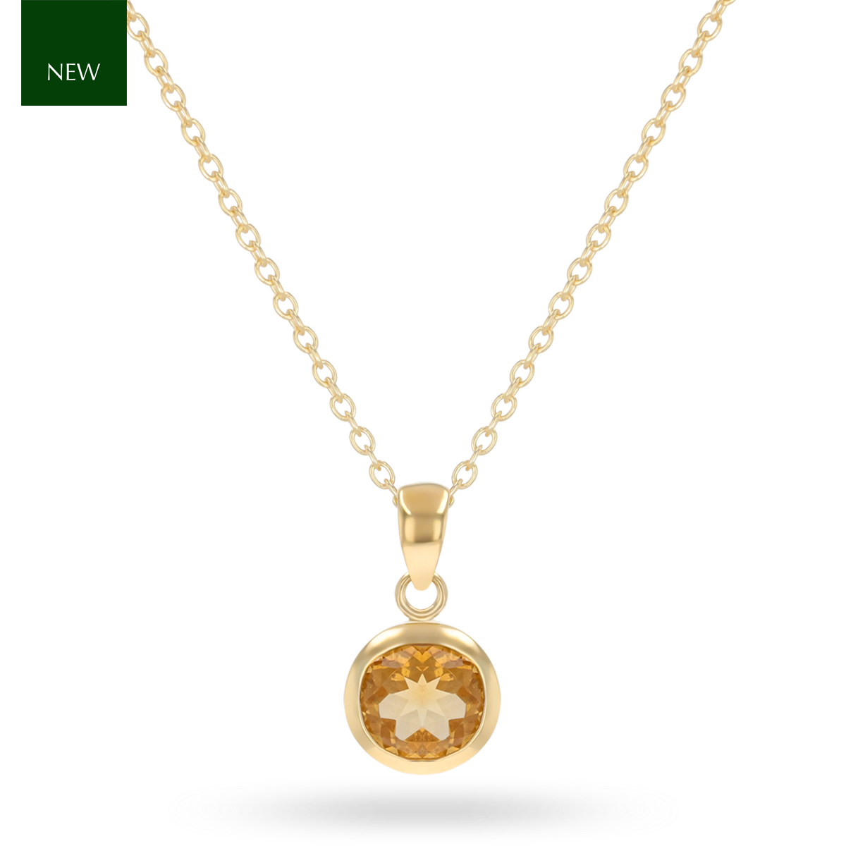 9ct Yellow Gold Round Shaped Citrine Bezel Set Pendant & Chain