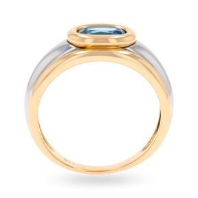 9ct Two Colour Gold Oval Shaped Blue Topaz Signet Ring