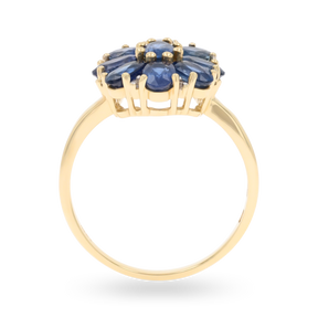 9ct Yellow Gold Oval Shaped Sapphire & Diamond Cluster Ring