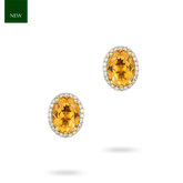 9ct Yellow Gold Oval Citrine & Diamond Cluster Stud Earrings