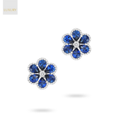 18ct White Gold Sapphire & Diamond Flower Stud Earrings