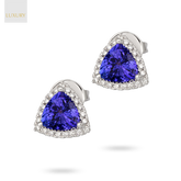 18ct White Gold Tanzanite & Diamond Trilliant Halo Earrings